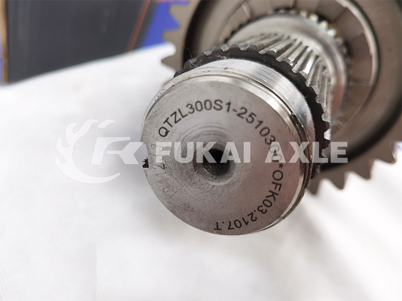 Ensamblaje de diferencial entre ejes para Foton Auman Qingte ZL300 Axle Truck Repuestos ZL300S1-2510300A