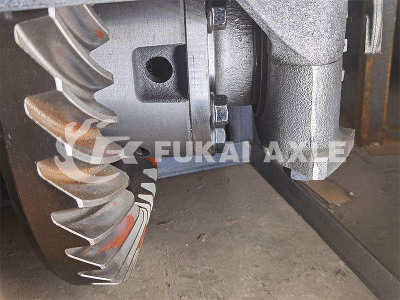 Conjunto reductor principal del eje trasero