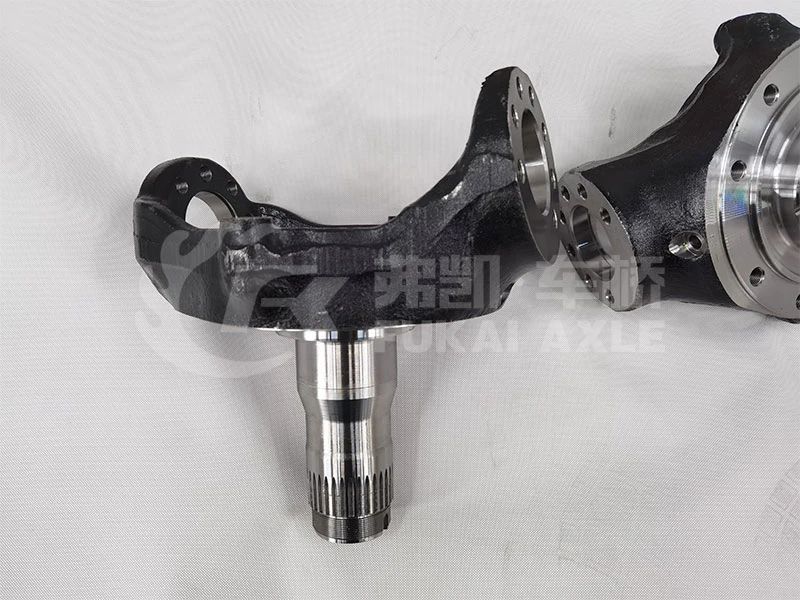Qt205q0-2304011-Qt205-Front-Drive-Axle-Steering-Knuckle-for-Qingte-Axle-Foton-Truck-Repuestos (2)